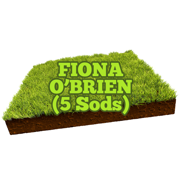 Fiona O'Brien