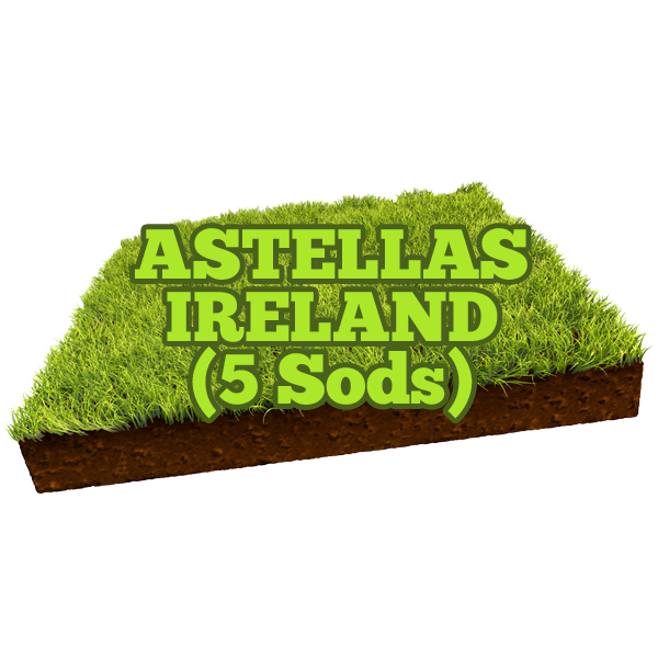 Astellas Ireland