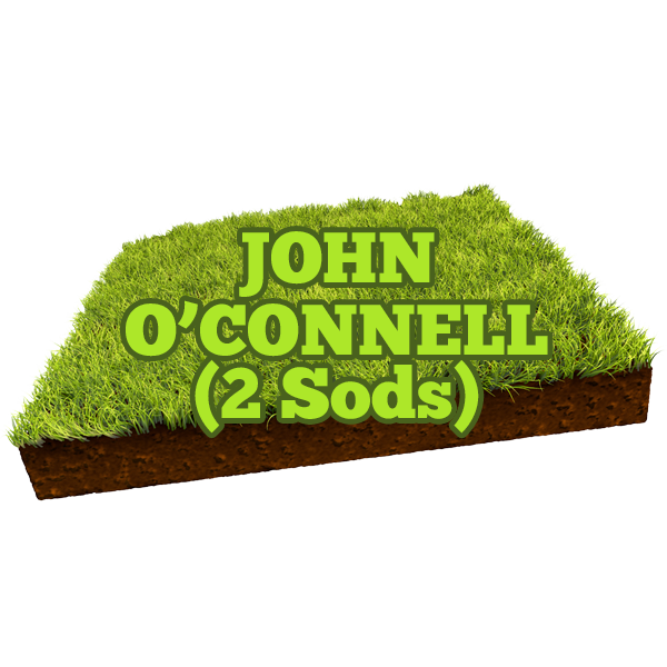 John O'Connell