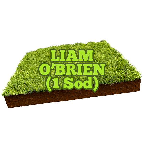 Liam O'Brien