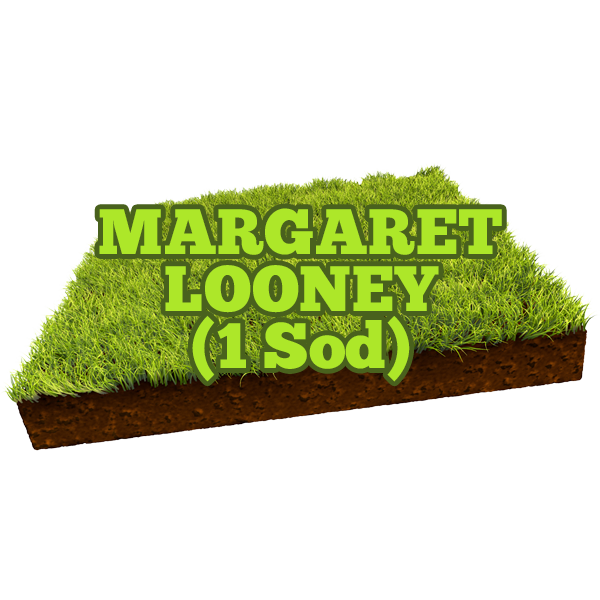 Margaret Looney