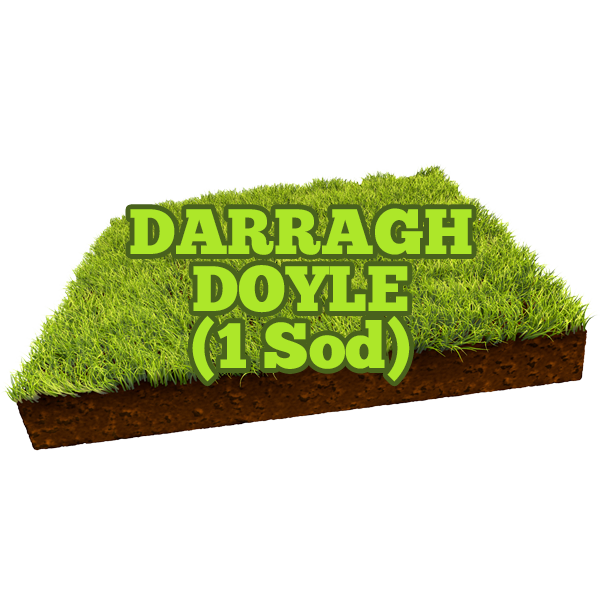 Darragh Doyle