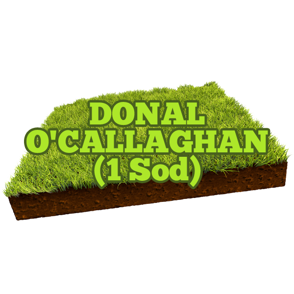 Donal O'Callaghan